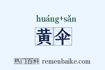 黄伞是什么意思的图片
